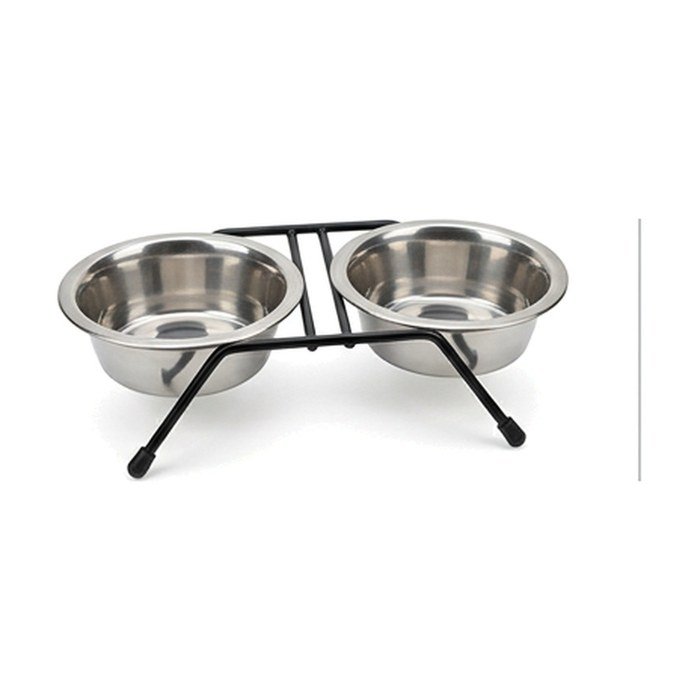 Elevated Stainless Double Bowl